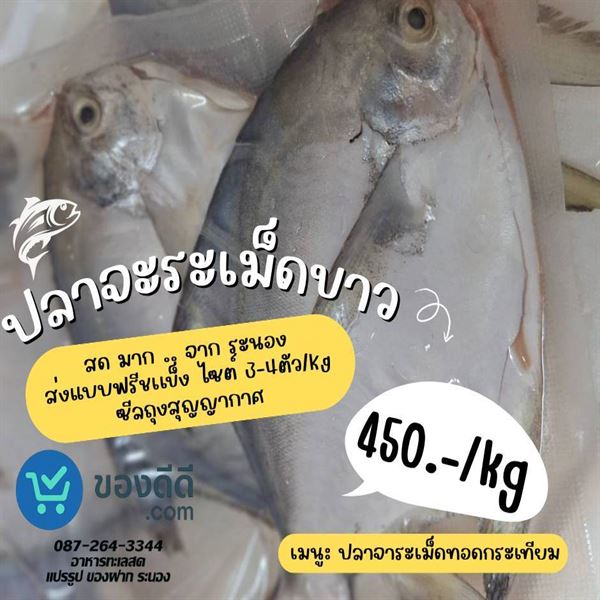 อาหารแช่แข็ง